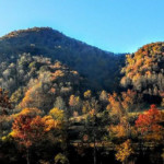fall colors in Great Smoky Mountains